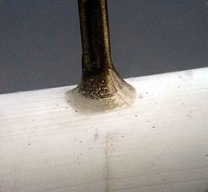 ant3.jpg (23310 bytes)