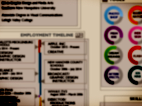 Infographic Resume