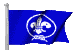 BSA Flag