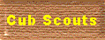 District Cub Scouts