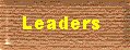 District Leader Pages