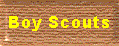 District Boy Scouts