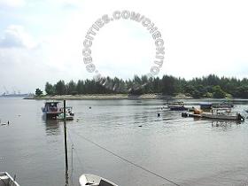 Pulau Punggol Barat Fishing Angler Hotspots 8 - This Pulau is still the most productive fishing spot that I've ever come accross. But it now restricted for military use only too bad.