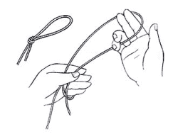Tying Bimini Twist Knot Step by Step Pic 1 - Begin by tying a small loop in the end of your line then cutting it off. You will need this loop as a pull-through to finish off the Bimini later on.Take a loop of line and secure the standing part by taking a bight of line around your left hand.