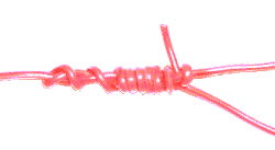 Tying Bimini Twist Knot Step by Step - Tying bimini twist knot step by step, this knot is super sensitivity and strength for light tackle going for KBL to trolling of Marlin. It is even better for PE braid (spectra) line of up to 30kg line.