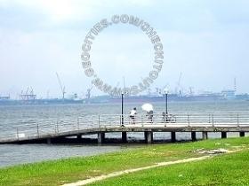 Bottle Tree Resturant Fishing Angler Hotspots 5 Pic2 - This Boat Jetty produce some size-able fish like KBL, Chermin, Sickle fish and Sting-Ray etc... 