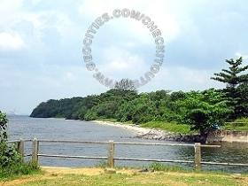 Bottle Tree Resturant Fishing Angler Hotspots 5 Pic3 - This drain produce alot of Mullet (barnak) and many other small fish, even Louhan.