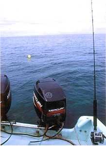 Bait Drifting The Different Approaches - Fishing Around Singapore Angler Hotspots Articles