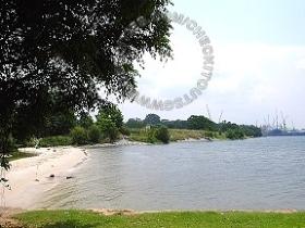 Bottle Tree Resturant Fishing Angler Hotspots 5 Pic5 - This fishing spot behind the muslim mosque looking on left hand side is another Chermin spot.