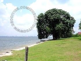 Bottle Tree Resturant Fishing Angler Hotspots 5 Pic6 - Looking toward your right you can noice it quite remote therefore bring a few kaki along.