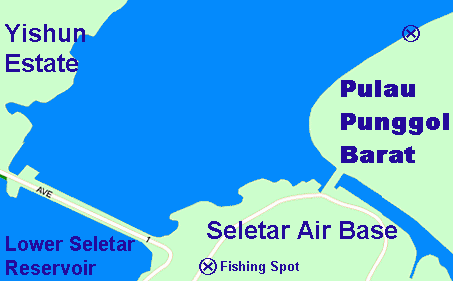 Pulau Punggol Barat Fishing Angler Hotspots 8 - Fishing Angler HotSpots Around Singapore with Photo and Maps
