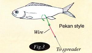Effective Rigs for Drifting and Trolling Fishing Around Singapore Angler Hotspots Articles Photo 3