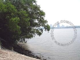 Senoko Fish Port Fishing Angler Hotspots 2 Pic2 - On the left-hand side looking toward the causeway.