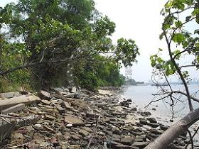 Senoko Way Fishing Angler Hotspots 3 Pic3 - Further up on the right-hand side looking toward Senoko Powder Plant do you notice that this fishing spot have alot of Batu(rock).