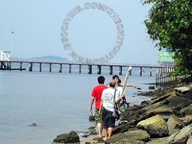 Senoko Way Fishing Angler Hotspots 3 Pic4 - A group of Angler going to their usual farvorite fishing spot on saturday morning.