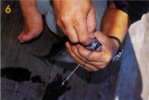 How to rig a tongkol rigs - Using a single strand wire, tie the fish's mouth to the wire leader. This is important to prevent the fish from spoiling  due to water resistance during trolling