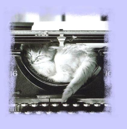 Asleep at the wheel...