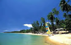 Pretty Beach