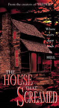 THIS is a haunted house.