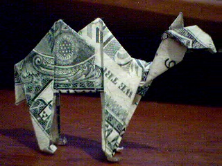 Camel
