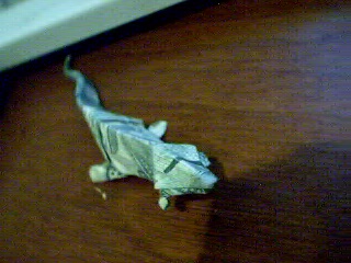 Gecko