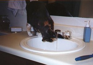 Slurp slurp slurp