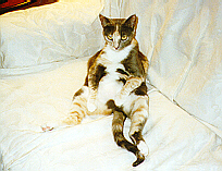 Tilly Cartman -- Beefcake!!