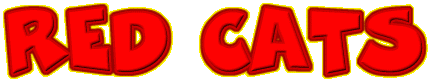 See all the RED Hot Categories in The Store at c4bSales.com