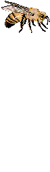 Col 1