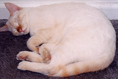 It's not easy to sleep this much.