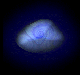 chel003.gif (3459 bytes)