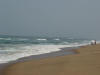 The Beach