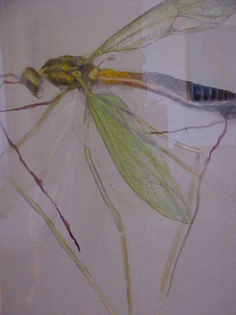 Good Bye Fly I - Thomas Catlin