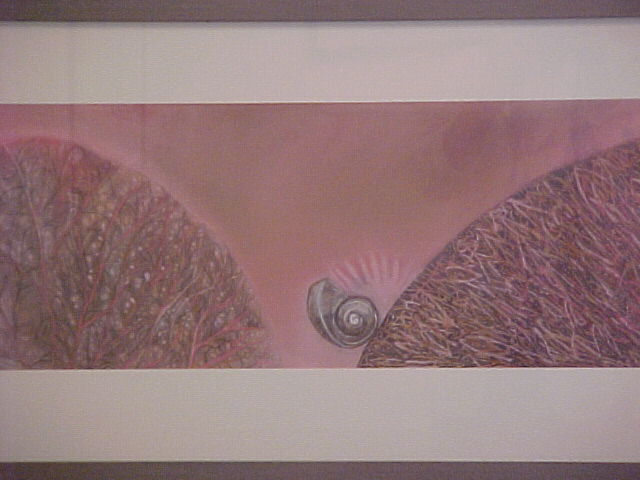 Snail Trail - Thomas Catlin