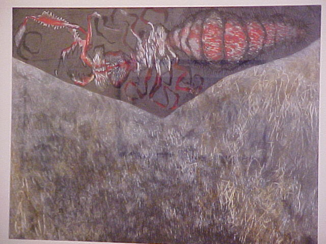 Mite - Thomas Catlin