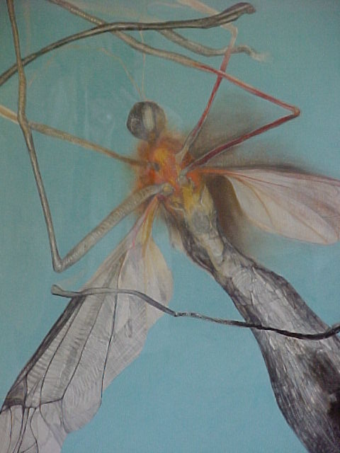 Good Bye Fly II - Thomas Catlin