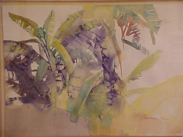 Banana Plant - Ulrich Schwanecke