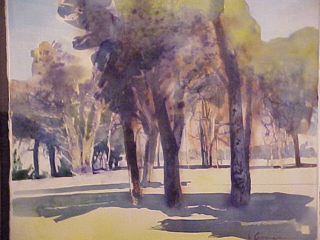 Old Pines near Somerset West - Ulrich Schwanecke
