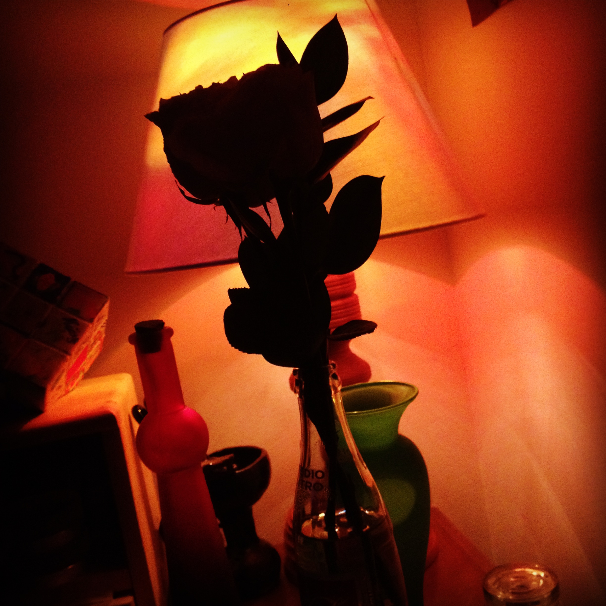 rose
