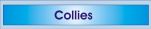 Collies...