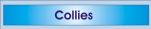 Collies...
