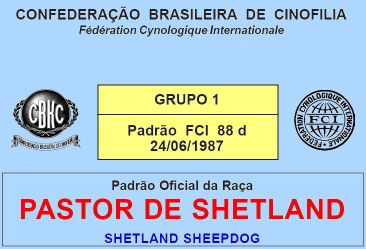Padr�o Oficial CBKC...