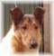 Coopers Page