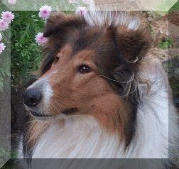 Our "Hope" ~ Mavmon Hopes Miracle