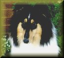 CLICK to see "Jessie's Page"