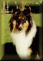 CLICK to see "Kirby's Page"