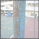 Volleyball Net Post