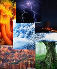 Different parts of science 
photo curtesy corbis.com