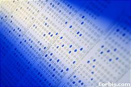 Every AP subject has a hard test
Photo curtesy Corbis.com