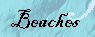 Search for fire lizards